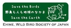 Save the birds! Save the earth!