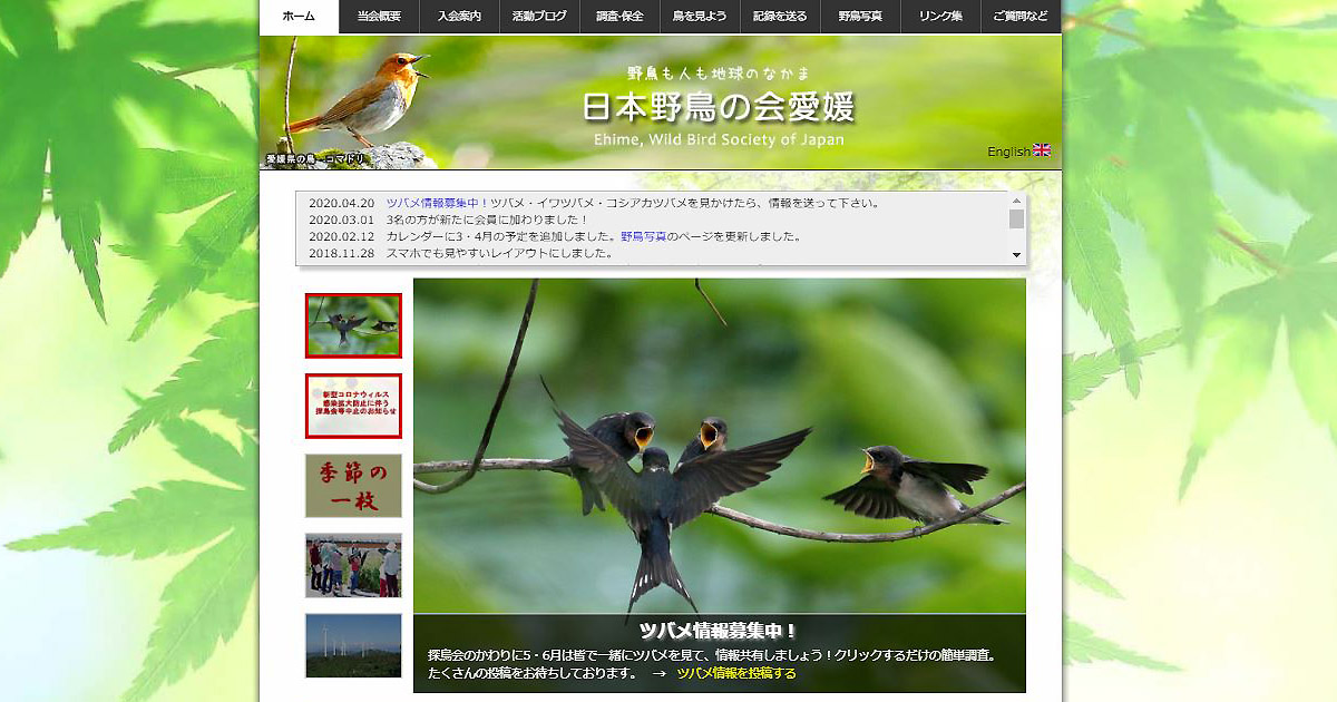 日本野鳥の会愛媛 鳥を見よう